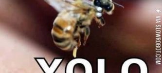 Stupid+bees%26%238230%3B