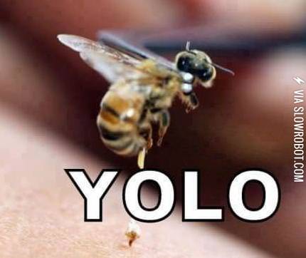 Stupid+bees%26%238230%3B