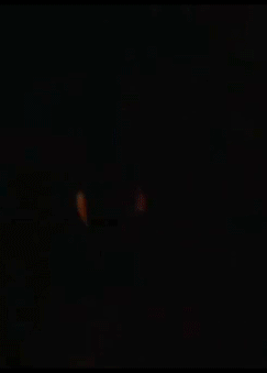 How+Rambo+spends+his+free+time.