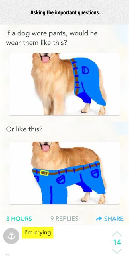 Asking+The+Important+Questions%26%238230%3B