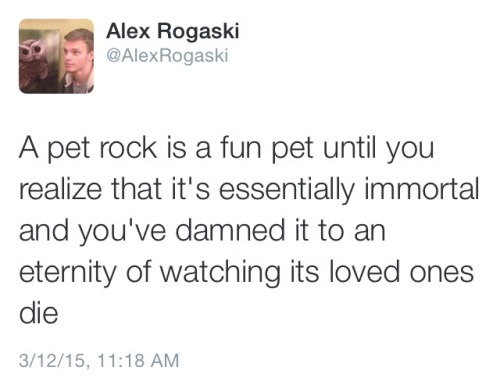 Pet+rocks+was+a+bad+idea