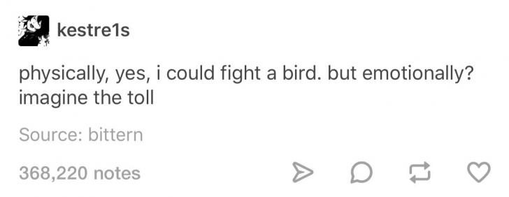 Don%26%238217%3Bt+fight+birds+if+you+can+help+it