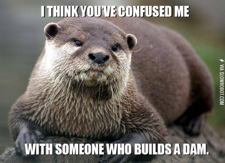 Oh+yah.+It%26%238217%3Bs+that+otter+guy.