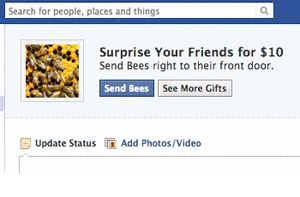 Bees.