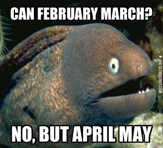 Bad+Joke+Eel+strikes+again.