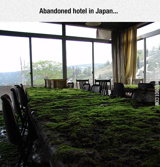An+abandoned+hotel+in+Japan.
