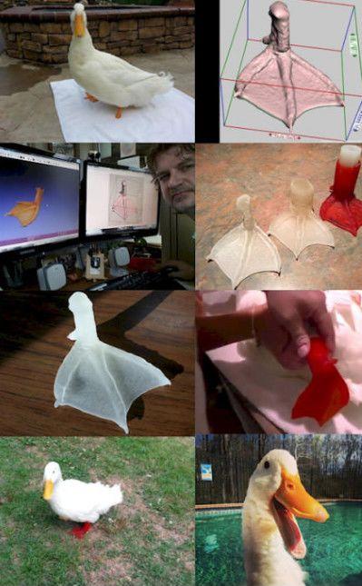 Making+a+duck+happy