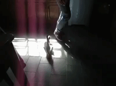 Just+like+A+Baby%26%238230%3B