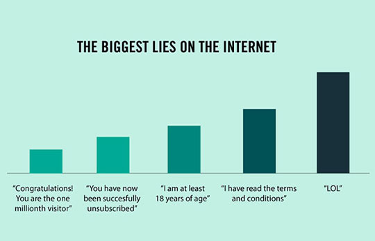 Biggest+Lies+On+The+Internet