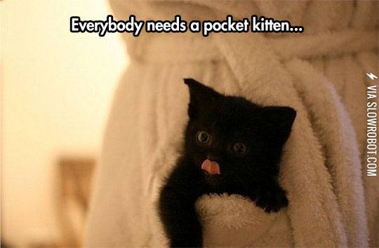 The+world+would+be+a+better+place%26%238230%3B