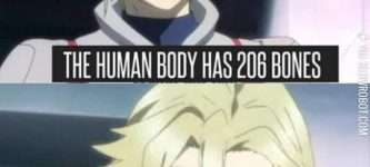 The+human+body+has+206+bones