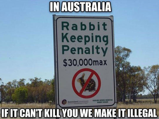 Australian+Laws