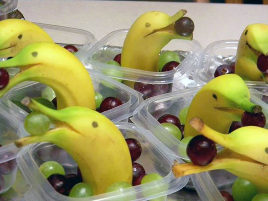 Banana+Dolphins+And+Grapes