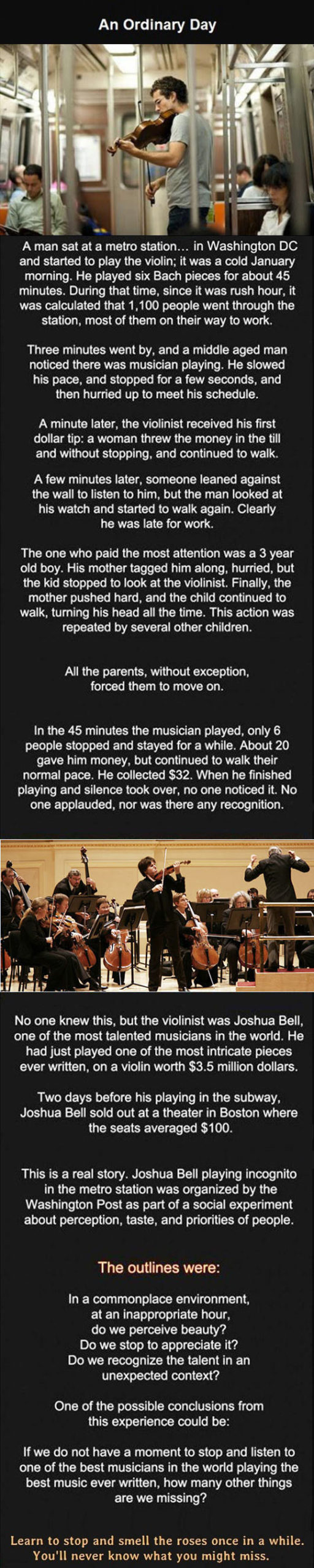 Those+People+Missed+Something+Special