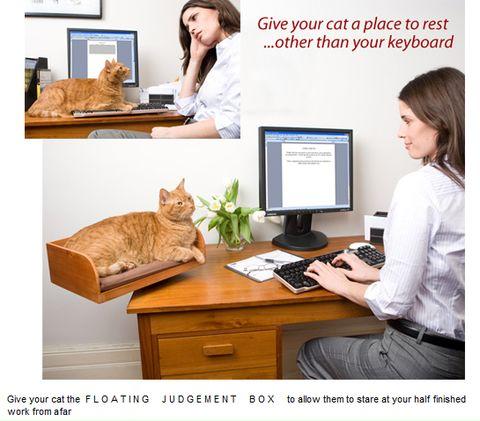 %26quot%3Bjudgement+box%26quot%3B