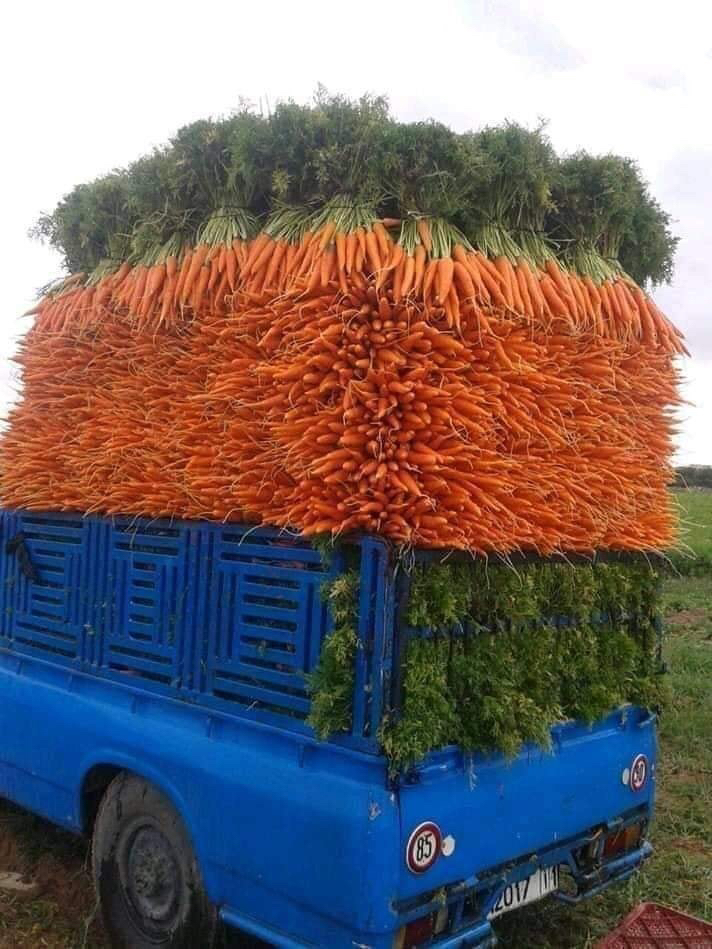Carrot+delivery+truck.