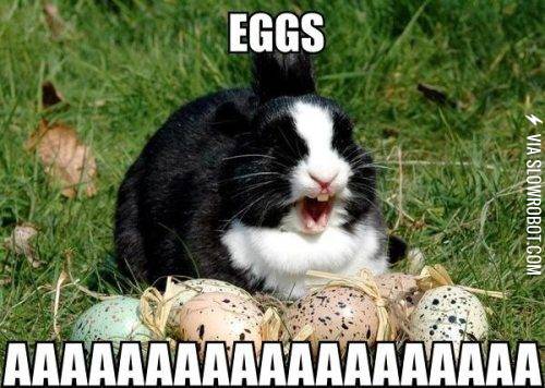 I+has+all+the+eggs%21