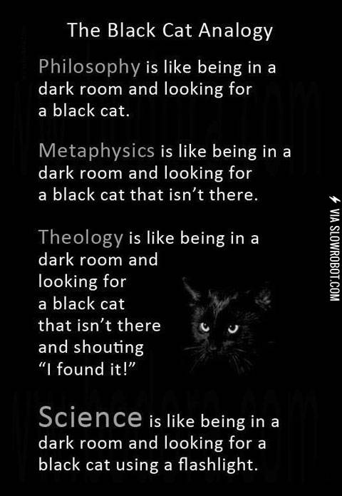 The+Black+Cat+Analogy.