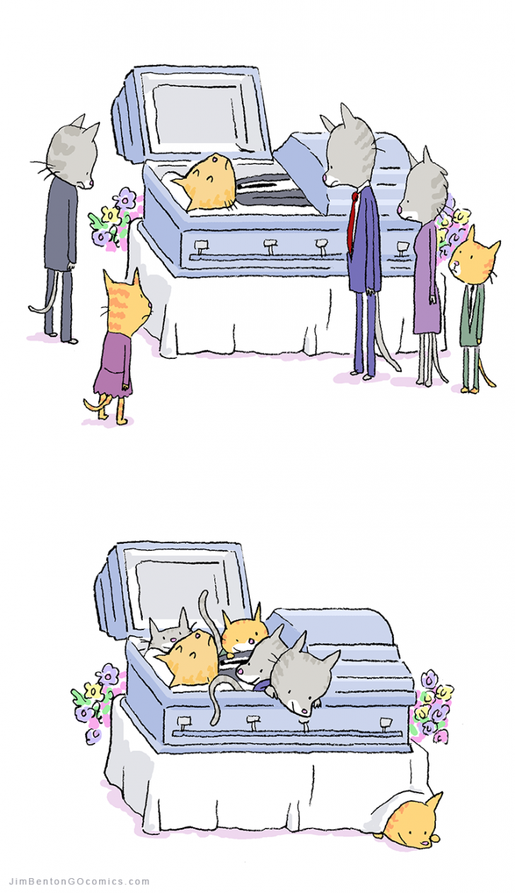 A+cat+funeral