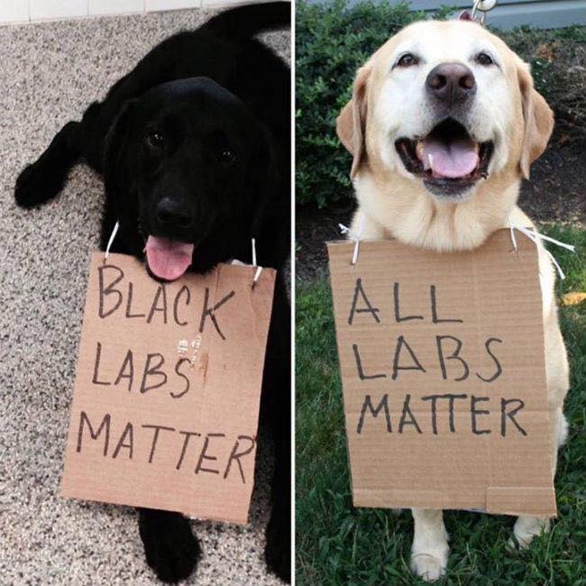 All+Labs+Matter%21