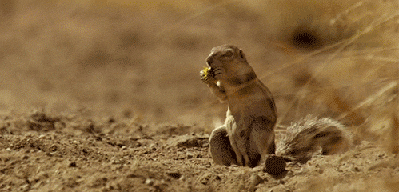 When+I+realise+it%26%23039%3Bs+called+afternoon+because+it%26%23039%3Bs+after+noon