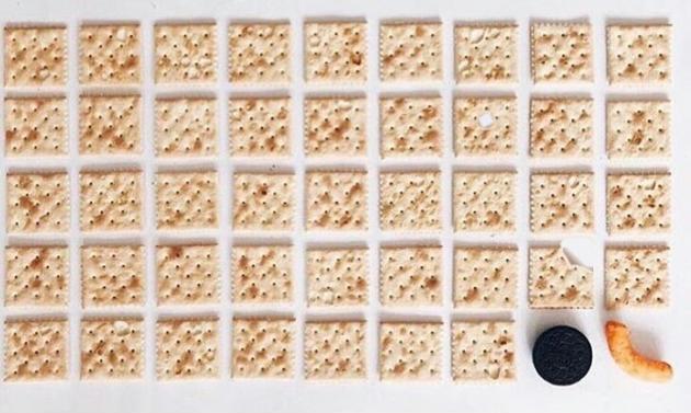 A+short+history+of+the+US+presidents.