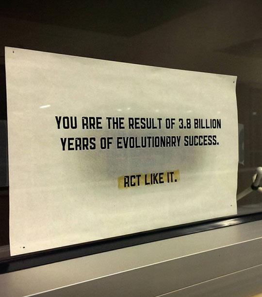 You+are+the+result+of+3.8+billion+years+of+evolutionary+success.