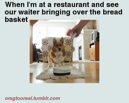 BREAD+BASKETS%21%21%21%21