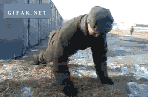 Do+you+even+physics%2C+bro%3F