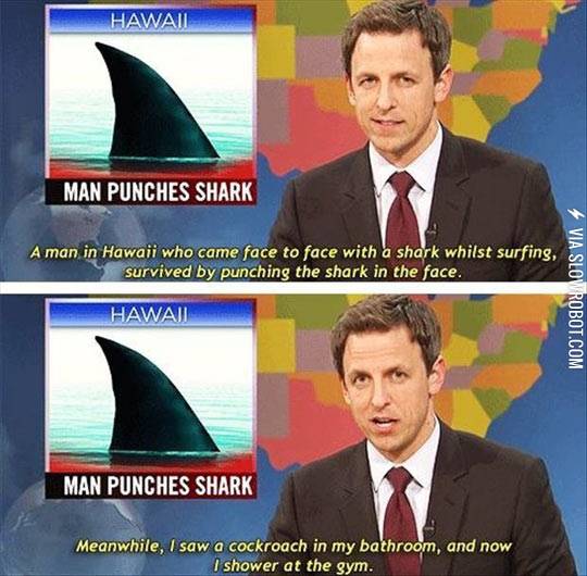 Man+punches+shark.