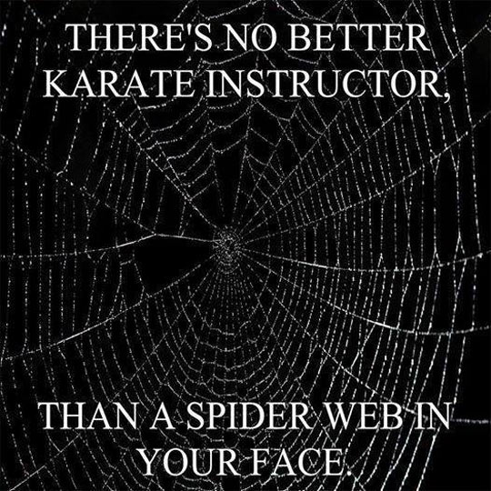 Best+Karate+Instructor+Ever
