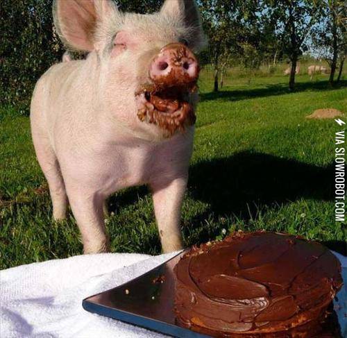 What+happiness+looks+like.