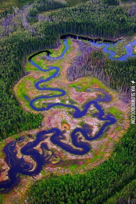 Seems+A+Bit+Dried+Up%26%238230%3B..