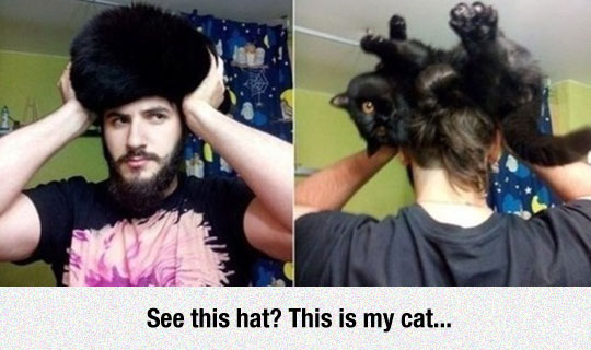 Spoiler+Alert%3A+It%26%238217%3Bs+Not+Actually+A+Hat