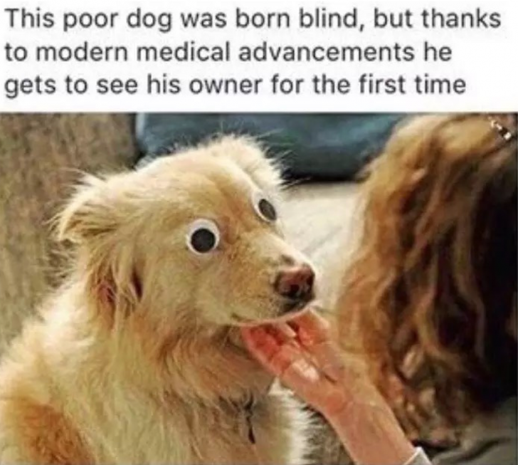 It%26%238217%3Bs+a+miracle