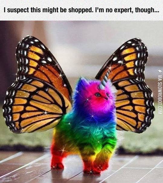 I+think+this+might+be+photoshopped.