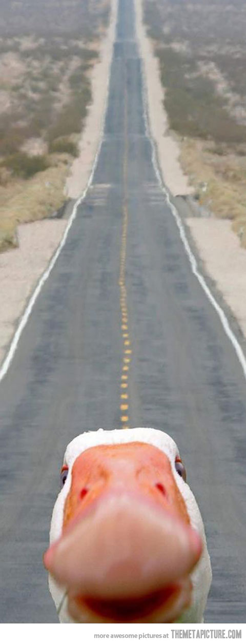 Worth+the+scroll+down