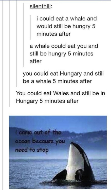 I+could+eat+a+whale
