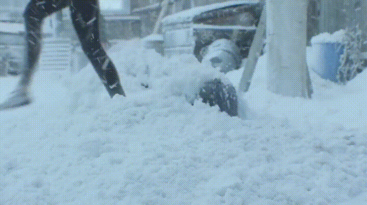 The+mystical+birthing+of+a+Canadian.