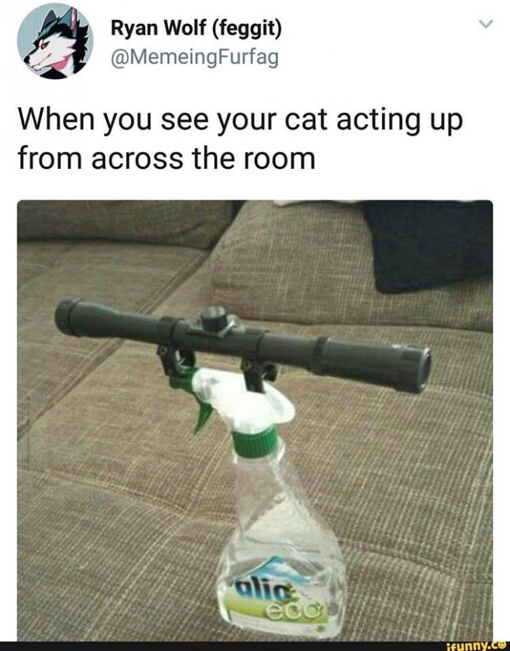 Long+distance+cat+tracking