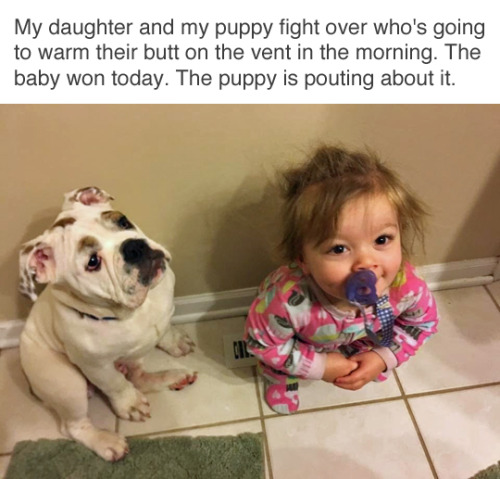 The+Battle+of+The+Buttwarmer