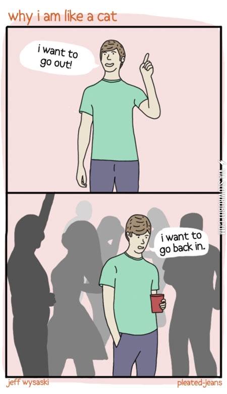 Why+I+am+like+a+cat.