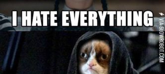 Wednesday+meets+Grumpy+Cat.