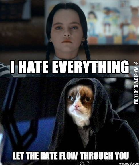 Wednesday+meets+Grumpy+Cat.