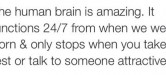 The+human+brain.