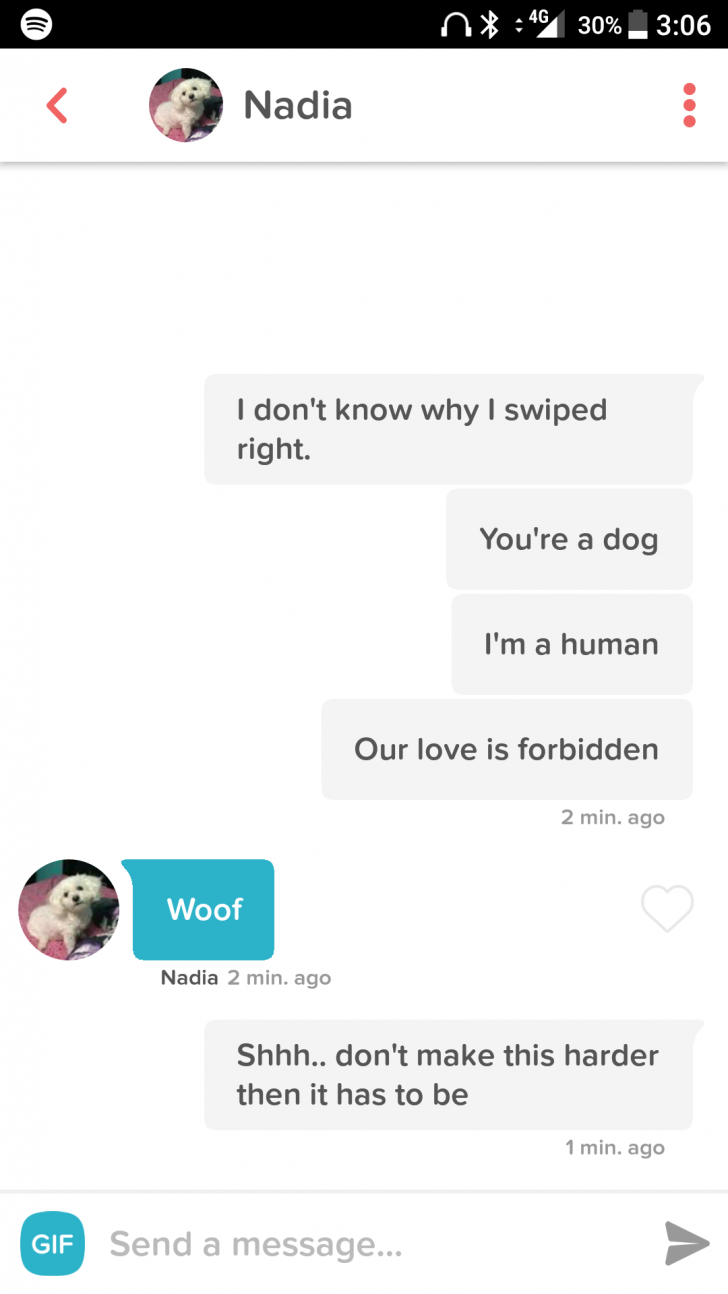 And+they+call+it+puppy+love