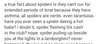 Spiders+are+nerds