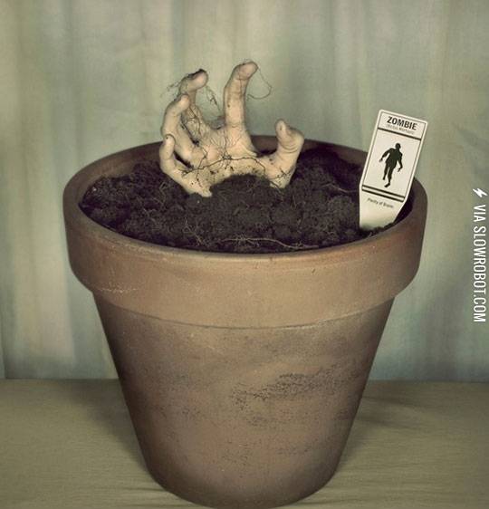 Where+zombies+come+from.