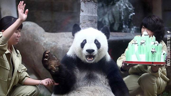 Panda%26%238217%3Bs+birthday