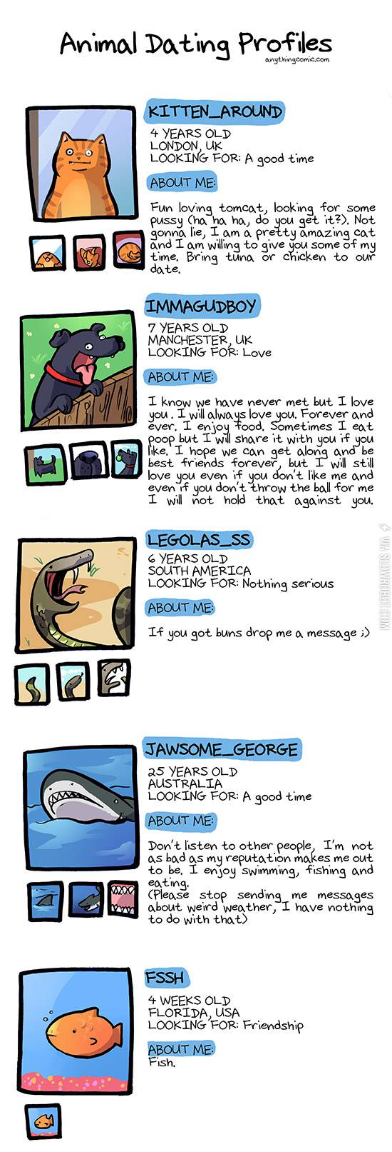 Animal+dating+profiles.